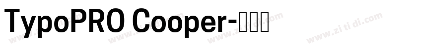 TypoPRO Cooper字体转换 TypoPRO Cooper字体转换
